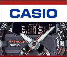 nagygomb2020_casio_terv2.jpg